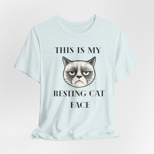 Resting Cat Face – Grumpy Cat