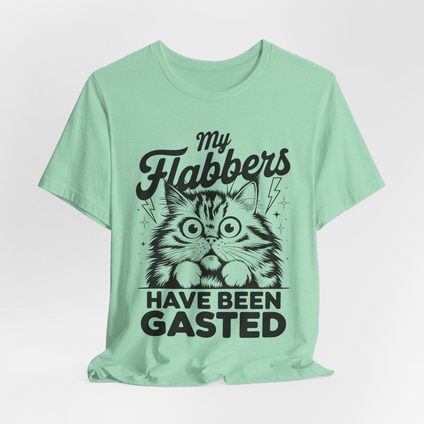 Flabbergasted Cat – Funny Surprised Kitty T-Shirt