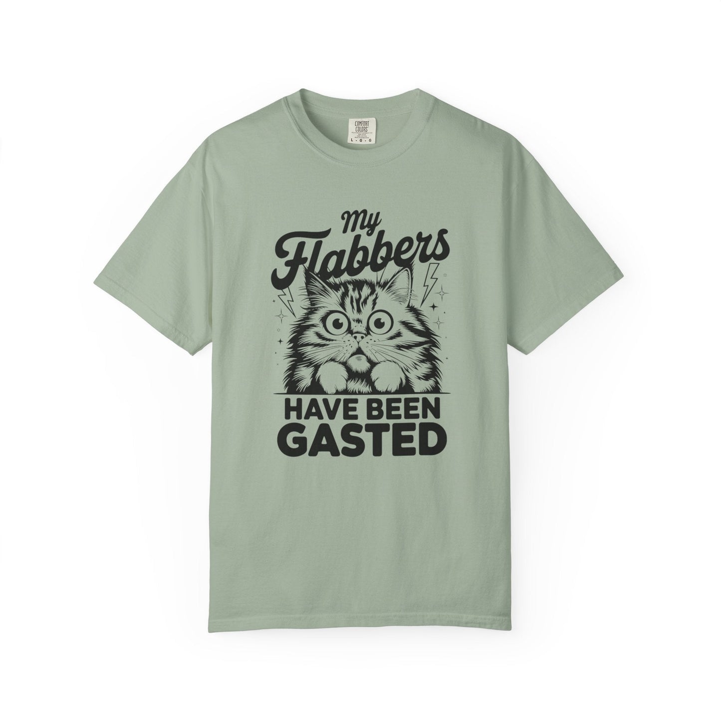 Flabbergasted Cat – Funny Surprised Kitty T-Shirt